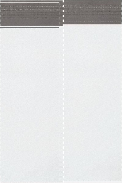 Courier Mailing Envelope: 10